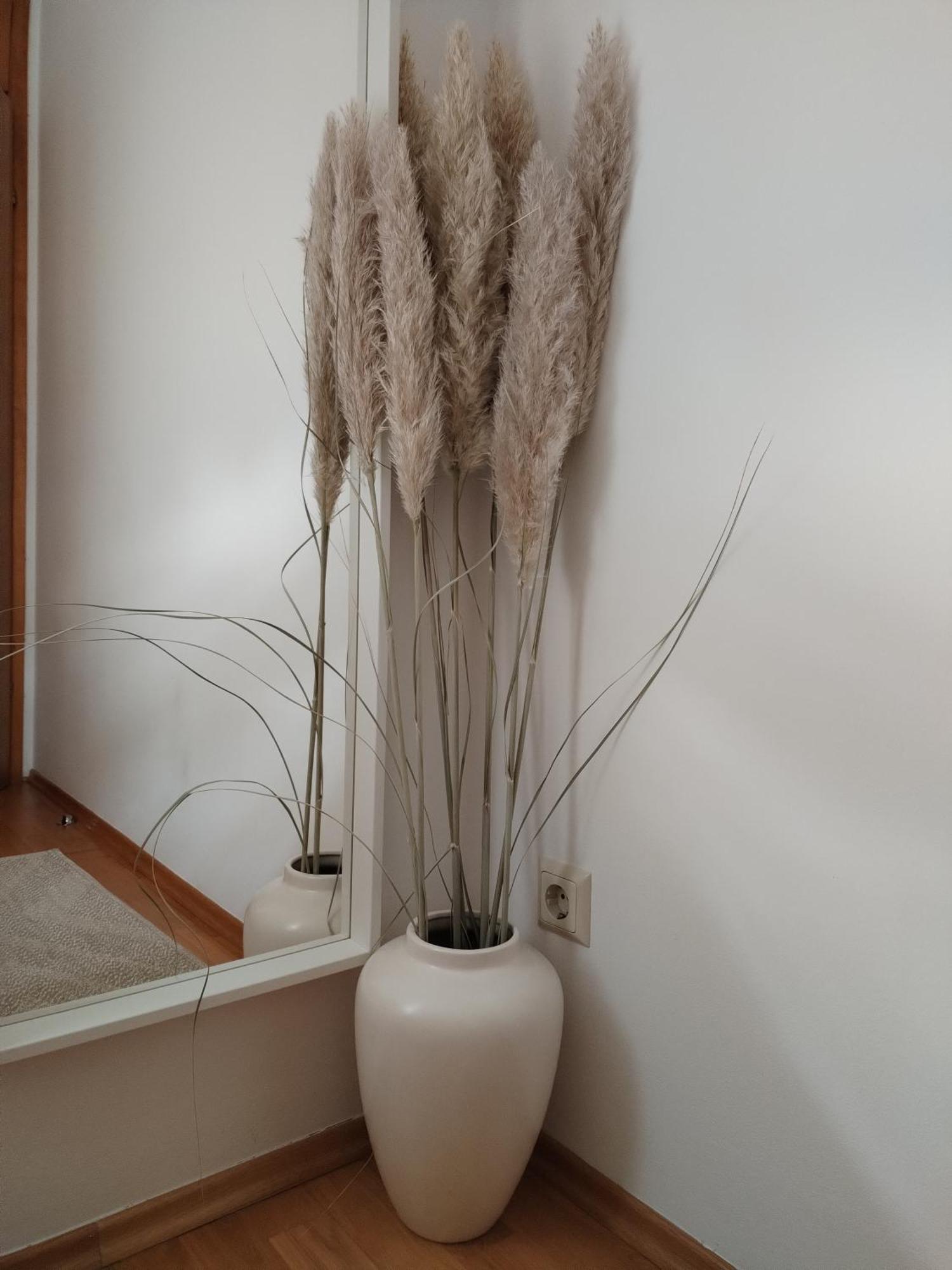 Apartman Ivana Záhřeb Exteriér fotografie
